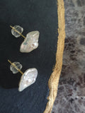 Earrings "Shell"